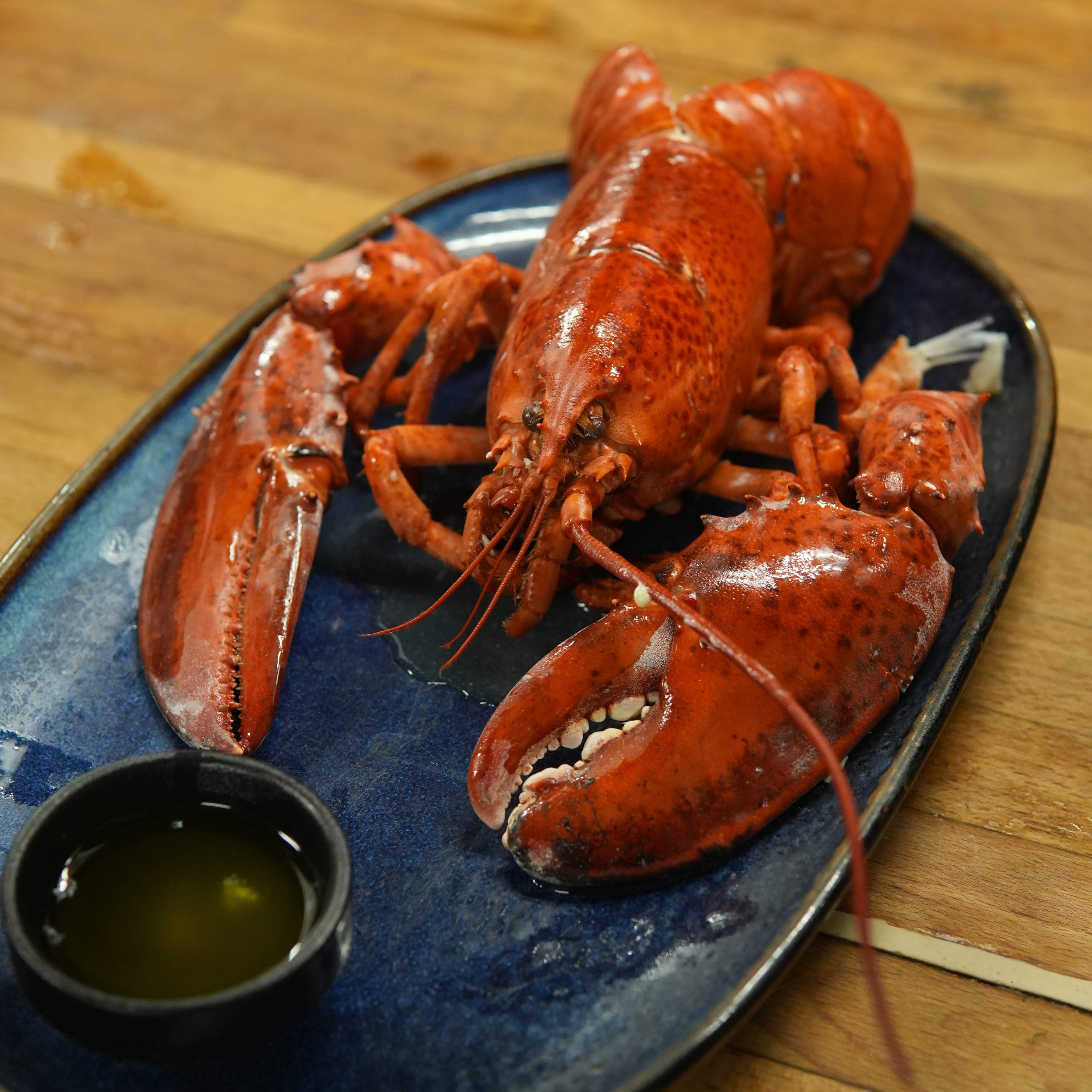 Pd Lobster